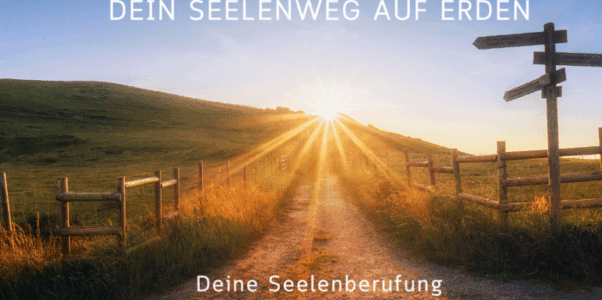 RETREAT, DAS MEDIZINRAD DER STERNE DEIN SEELENWEG AUF ERDEN