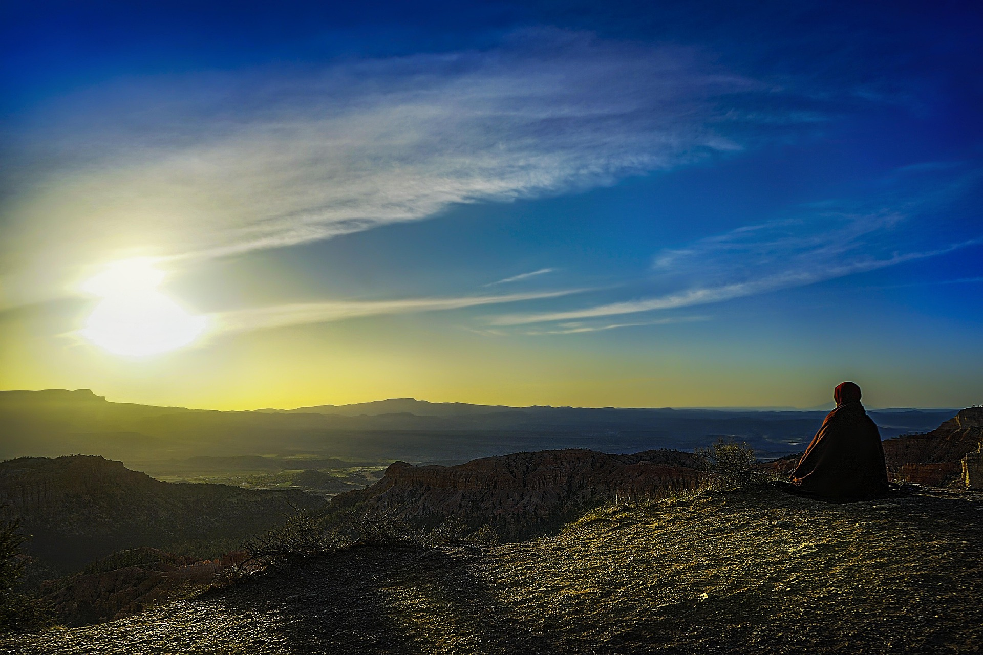 Check-in Meditation, Early Bird (Lebendig sein & zentriert bleiben)