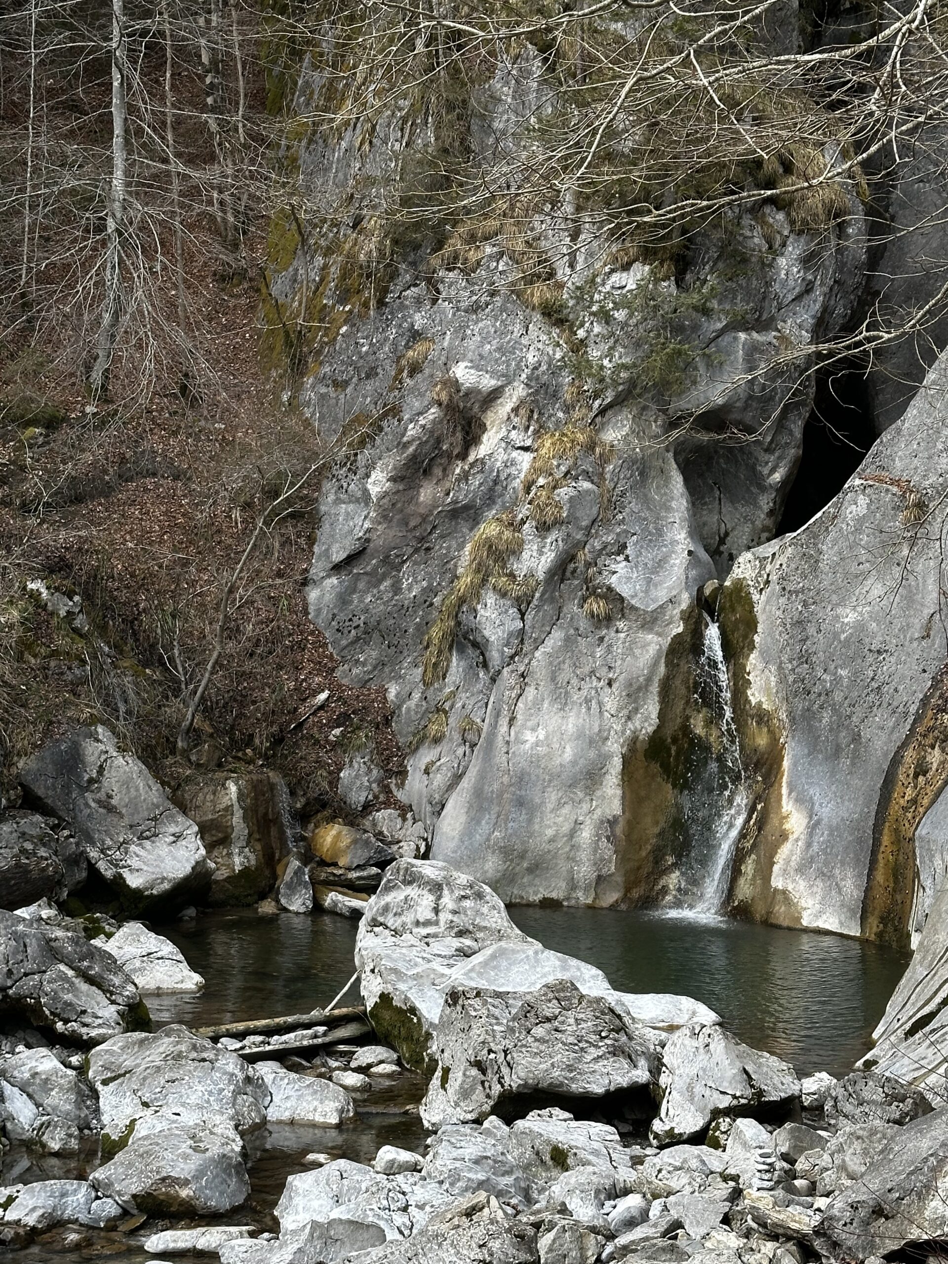 Gemeinsam unterwegs, Region Berner Oberland