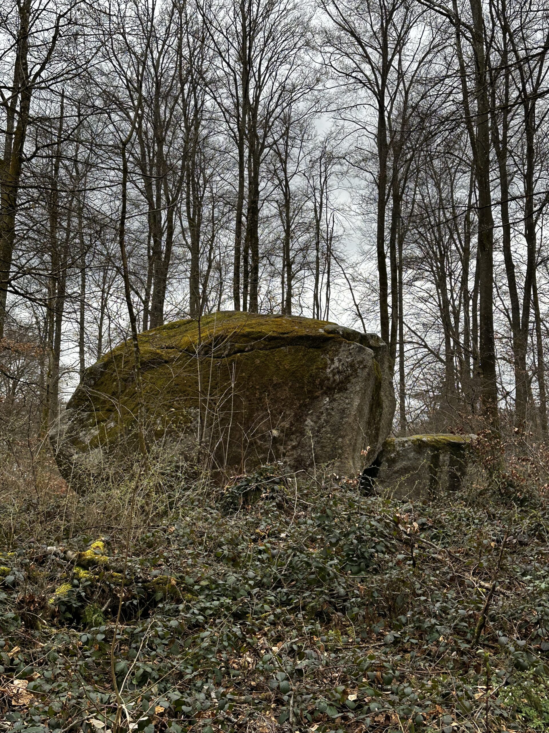 Gemeinsam unterwegs, Region Solothurn